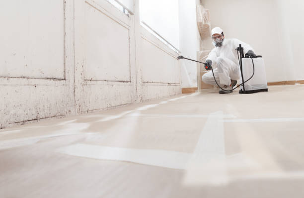 24/7 Emergency Mold Testing experts in Hillside, NJ