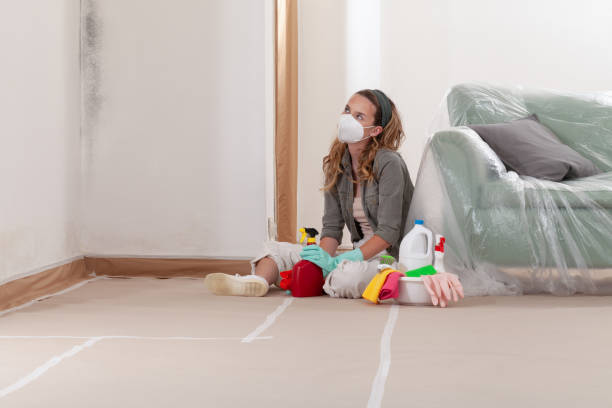 Reliable Mold Testing contractor in Hillside, NJ by WQB Mold Removal